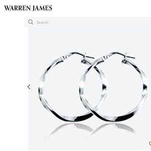 Silver Twist Hoop Earrings 30mm NIB